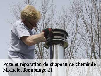 Pose et réparation de chapeau de cheminée  bellefond-21490 Michelet Ramonage 21