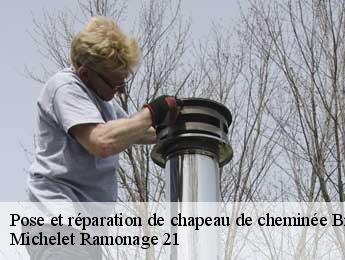 Pose et réparation de chapeau de cheminée broindon-21220 Michelet Ramonage 21