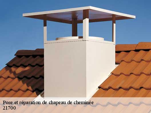 Pose et réparation de chapeau de cheminée 21700