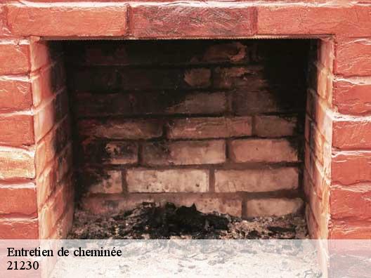 Entretien de cheminée 21230