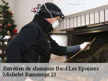 Entretien de cheminée bard-les-epoisses-21460 Michelet Ramonage 21