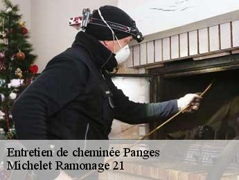 Entretien de cheminée panges-21540 Michelet Ramonage 21