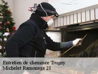 Entretien de cheminée trugny-21250 Michelet Ramonage 21